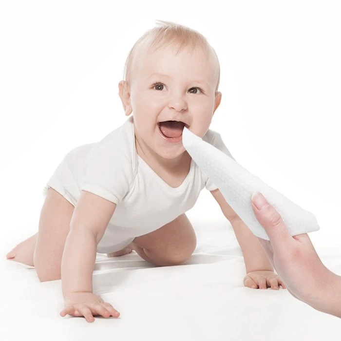 Dry Wet Wipes